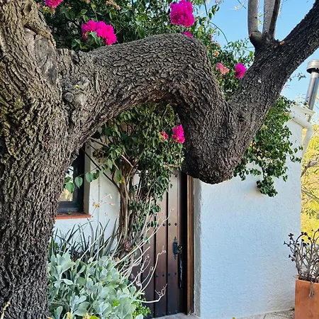 Apartment Arcos Terradillos