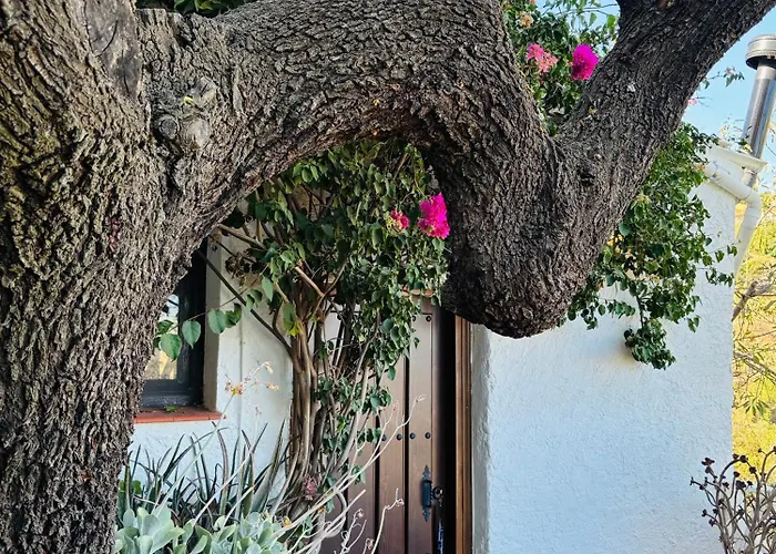 아파트 Arcos Terradillos